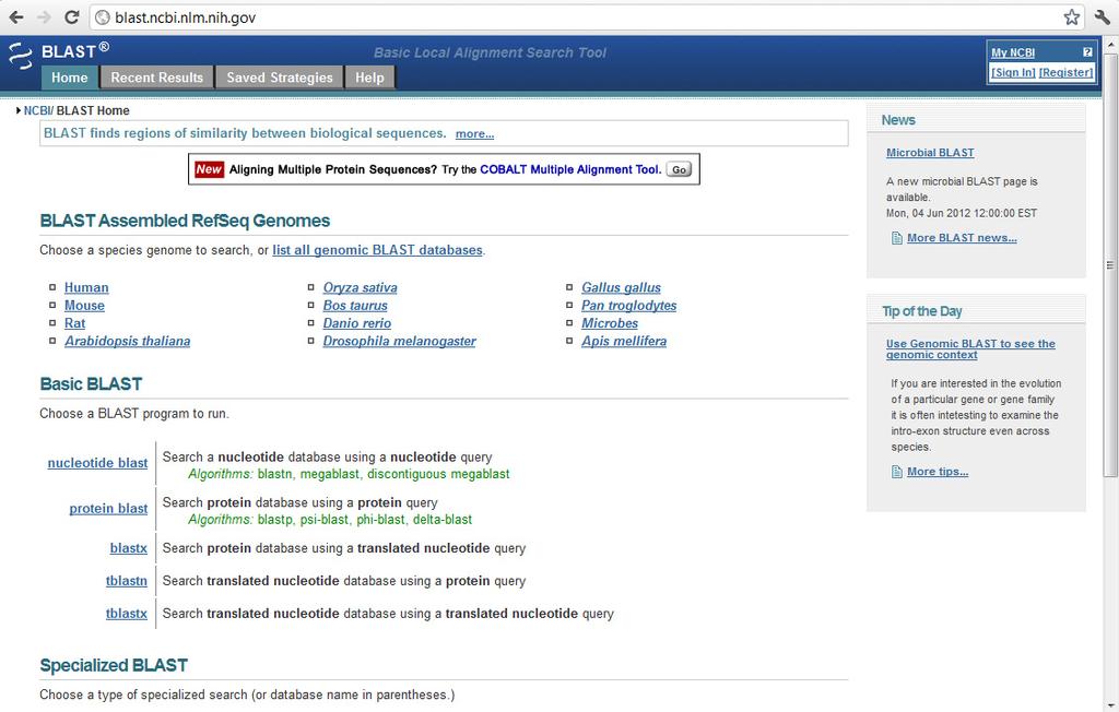 NCBI BLAST Main Page: