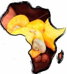 Africa in the Cashew World: Production World Cashew Production by Origin in MT* Indonesia 80000,0 Brazil 230000,0 1200000,0 1000000,0 800000,0 Estimated African Production in MT Vietnam India