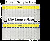 MAN-10066-01 RNA Sample Preparation (Optional) 1.