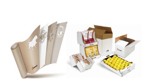 at a glance Virgin and recycled containerboard Sack and speciality kraft paper Applications and customers Market exposure Geographic focus Trends Corrugated board and boxes