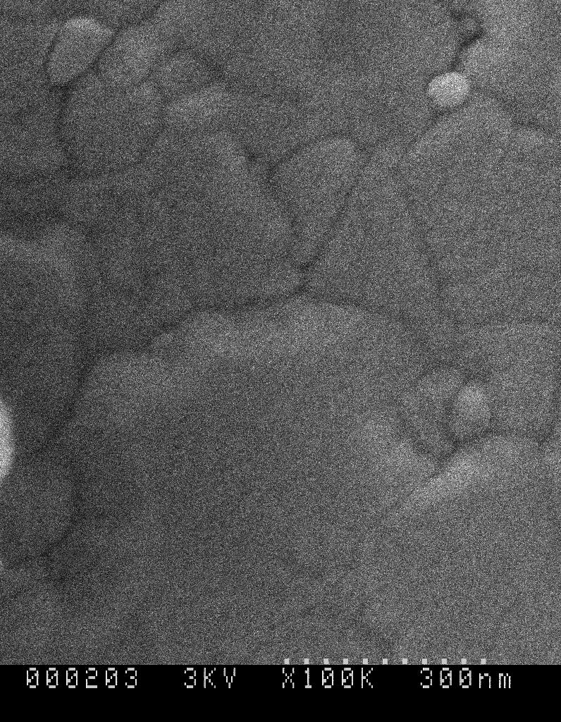 Figure 4.22 SEM image of top side of porous alumina film after CdS deposition Figure 4.
