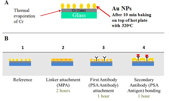 139 Figure 7.3 a) Prior to functionalizing the gold surface. The chip is baked at 320 C to allow the formation of a self-assembled monolayer (SAM) of Au NP.