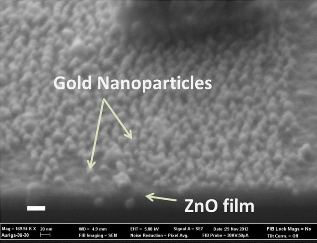 67 important role in plasmon FET, and the details of this will be discussed later in chapter 5, the spectral response of plasmon FET matches the absorption spectrum of gold NPs on top of ZnO layer.