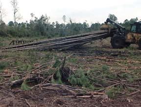 Extracting Forestry Operations Safety Guide GRAPPLE SKIDDER TASKS GATE DELIMBING Direction Grapple Height Log Butts Debris Large Trees Use a guide tree to keep the trees in line while backing through