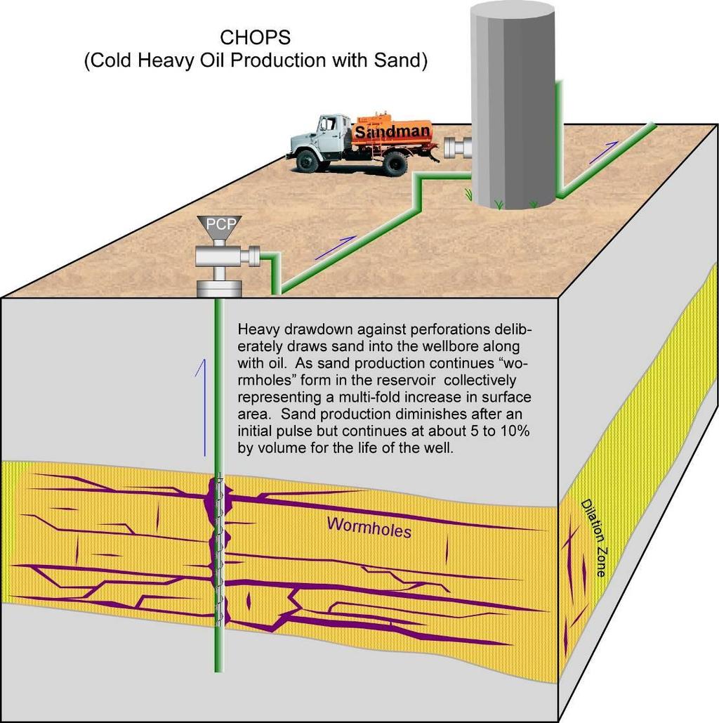 CHOPS Elements Foamy oil Sand production PCP pump