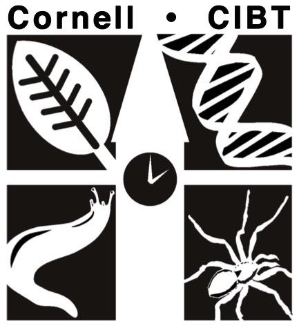 Cornell Institute for Biology Teachers Copyright CIBT This work may be copied by the original recipient from CIBT to provide copies for users working under the direction of the original recipient.