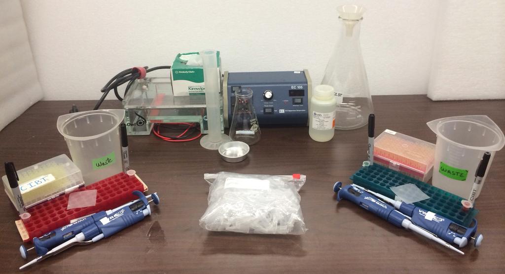 For the class: 1 centrifuge 1 dry bath Electronic scale 1 dark reader Agarose Hot plates FIGURE 1: One working station, showing materials
