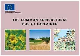 Demands for soil functions Agricultural policy