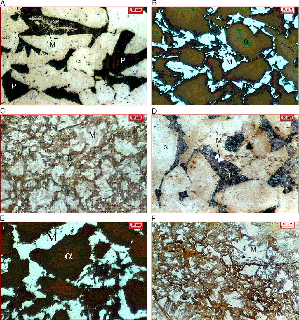 F.L.G. Oliveira et al. / Materials Characterization 58 (2007) 256 261 259 Fig. 6. Optical microscopy of samples heated at 0.