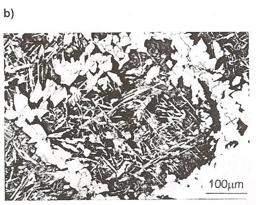 In the case of coarser austenite grain size (represents lower surfaces) and at given density (higher than in previous case) of nucleable un-ferrous inclusions, the AF initiation is partially