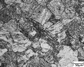 1) Figure 4 shows the microstructures after austenite conditioning by recrystallization through applying a fixed strain of 0.