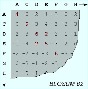 Protein Scoring Matrices Blosom 62 is the default BLASTP scoring matrix Di(erent Matrices Produce slightly di(erent alignments BLOSOM 62 Query: 80