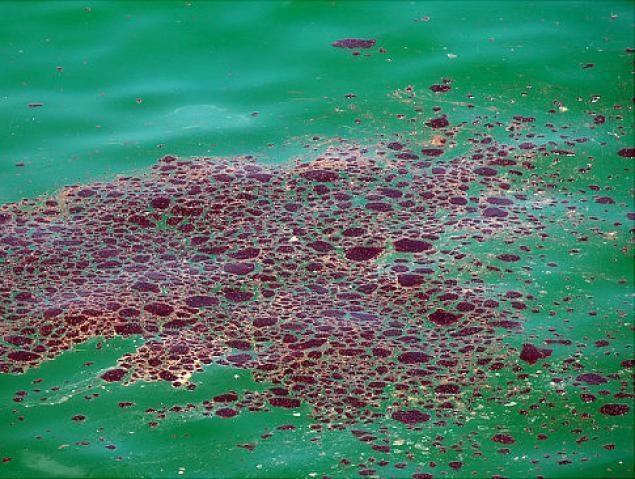 Petroleum products released by oil spills remaining near the surface of the water may not contact reefs or other sub-tidal