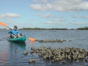 EFH and Lake Worth Lagoon Oyster reefs Unconsolidated