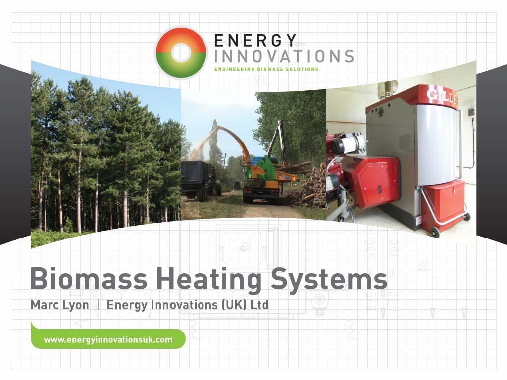 1.1. Uses of Biomass for Energy Gasification Power