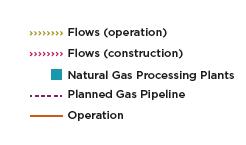 operate in other gas activities, except for storage and operation of LNG