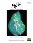 Fly ISSN: 1933-6934 (Print) 1933-6942 (Online) Journal homepage: http://www.