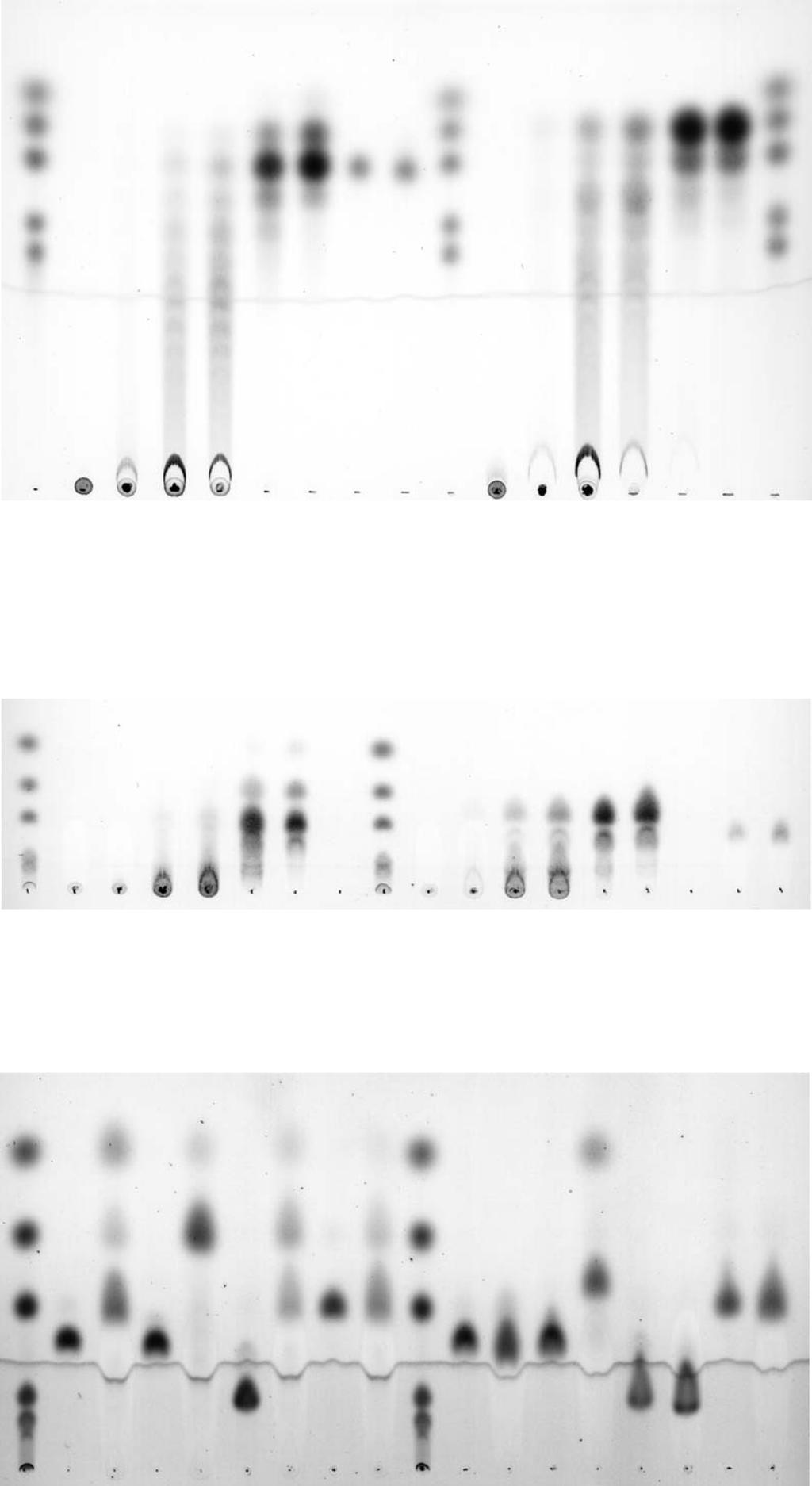 www.nature.com/scientificreports/ Figure 5. Thin layer chromatography analysis of barley β-glucan and oligosaccharide degradation products by purified EngU and Clostridium thermocellum LicB.