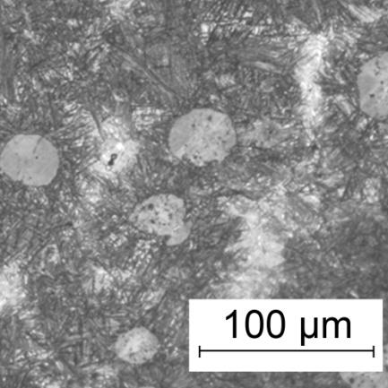 In the photomicrographs, graphite nodules are seen as dark circular areas dispersed in the matrix of ausferrite, consisting of bright austenite and dark acicular ferrite.
