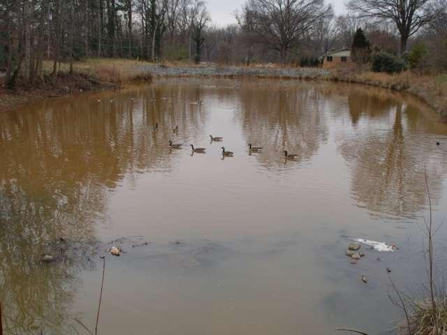 Charlotte Wet Pond Piedmont
