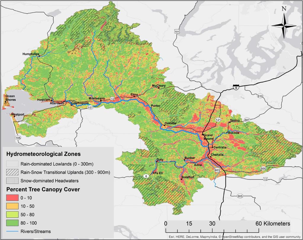 Percent tree canopy cover in the Chehalis Basin Heavily managed forests