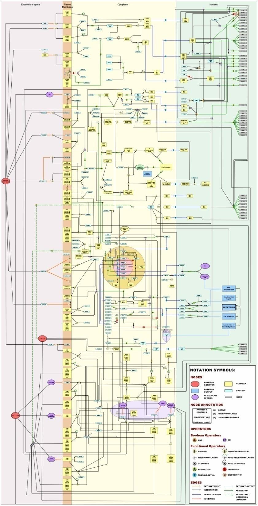 Framework Map of Macrophage Signalling