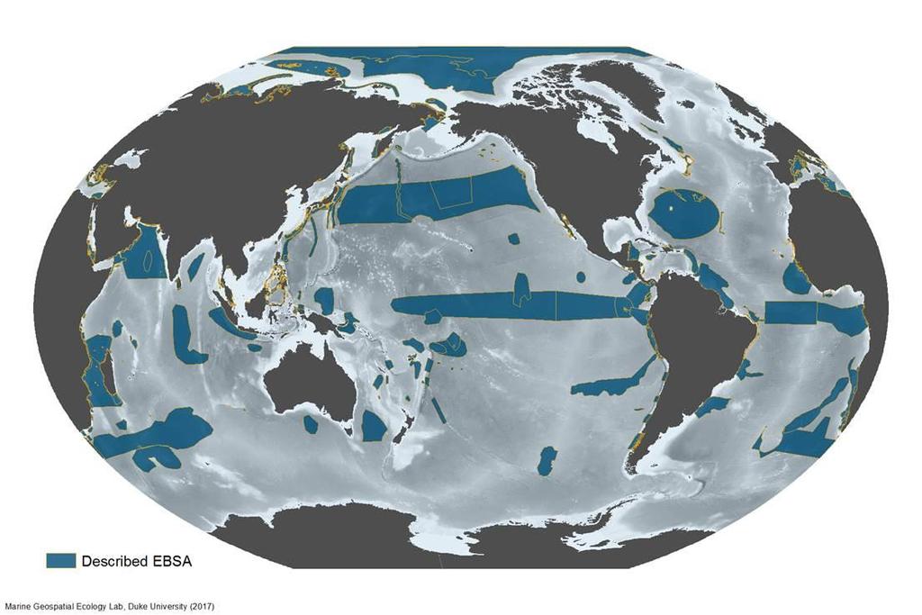 Ecologically or Biologically Significant Marine Areas (EBSAs) (12 regional workshop since COP 10 covering 74% of global ocean) www.cbd.