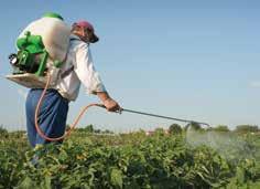 1. 2. Assessing Pesticides Hazards Waste pesticides that prevent, destroy, repel or mitigate pests or formulas that regulate exfoliated or desiccated plants are pesticides that may be managed under