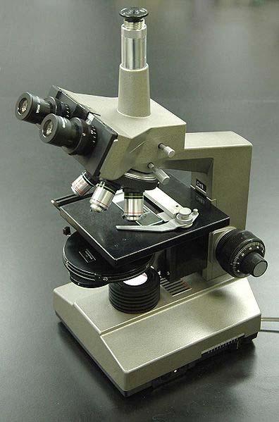 History of Microscopy