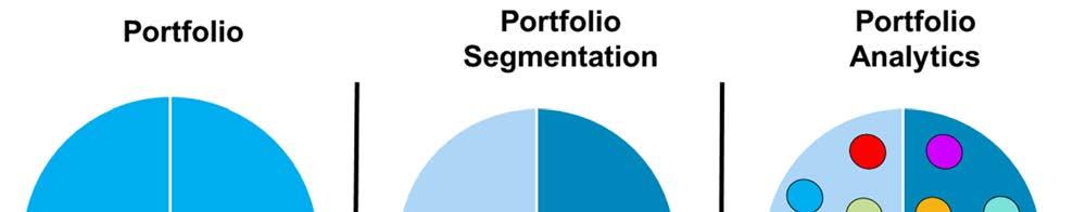 Planning, Analytics, and Expertise: Keys to Implementing a Portfolio Management Strategy Brian Riley Principal Executive Advisor, CEB TowerGroup An effective portfolio segmentation strategy will help