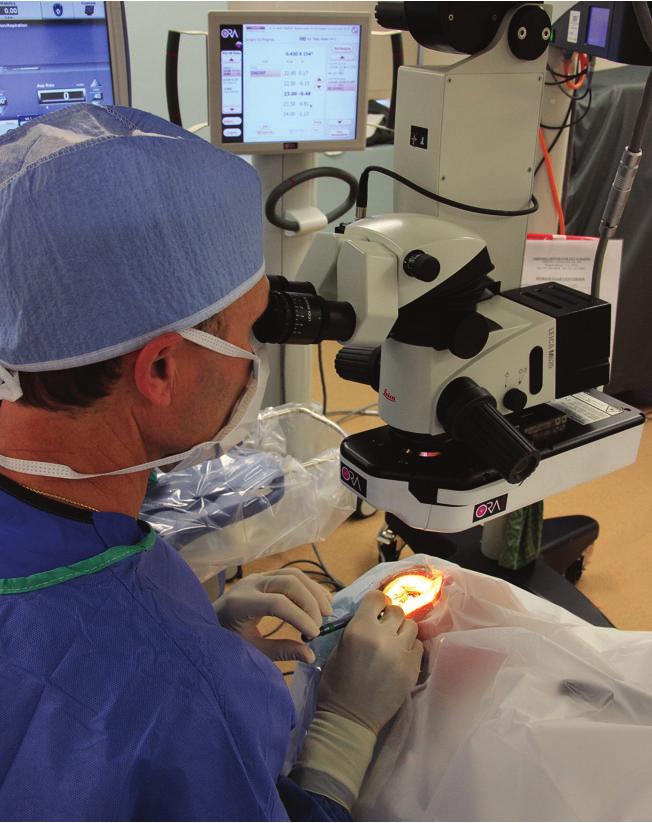 These data allow clinicians to evaluate the quality of a patient s optical system objectively [13].
