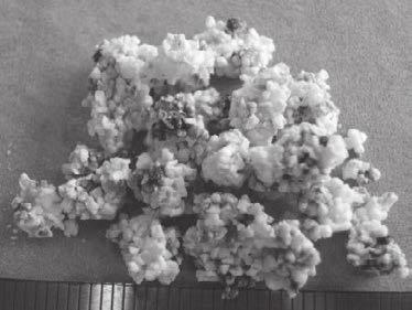 decomposition of feldspars to form corundum can be realized in Fig. 7, which has not been observed in the sintering experiments.