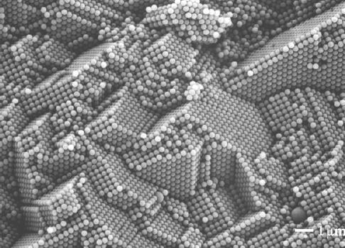 Soft Nanotechnology Nanocomposites