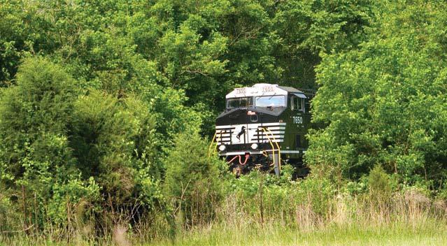 NORFOLK SOUTHERN 2014 SUSTAINABILITY REPORT 44 CARBON CONSERVATION A Natural Approach to Reducing Carbon EN12 EN13 Norfolk Southern aims to reduce CO2 emissions by improving the fuel and energy