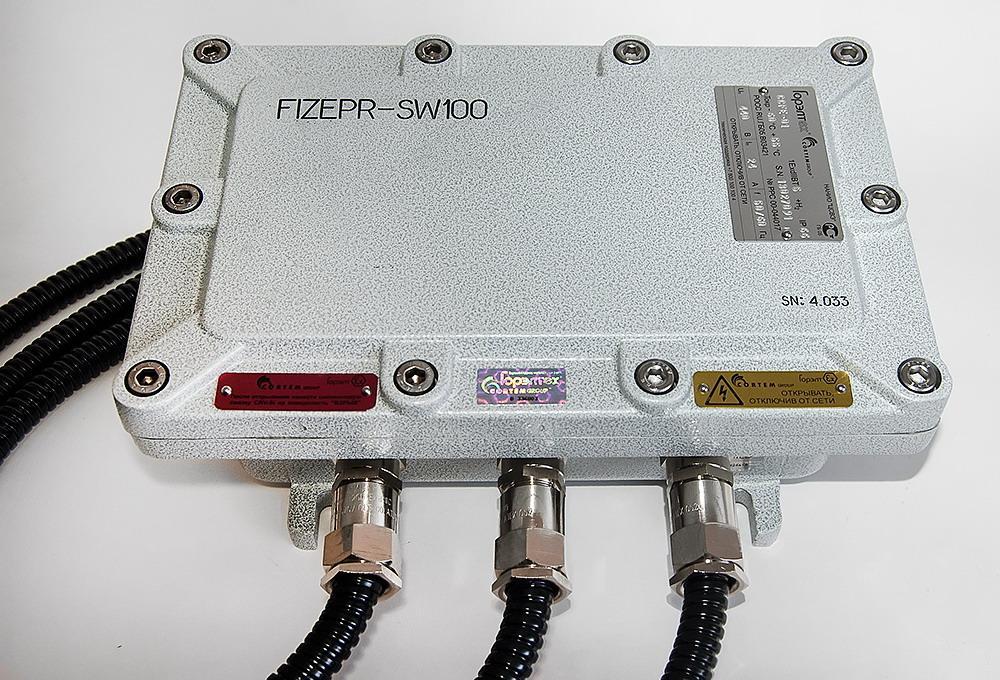 Design features of FIZEPR-SW100 moisture meters: electronics are