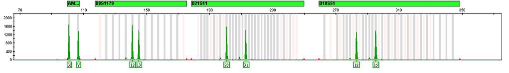 AmpFlSTR NGM PCR