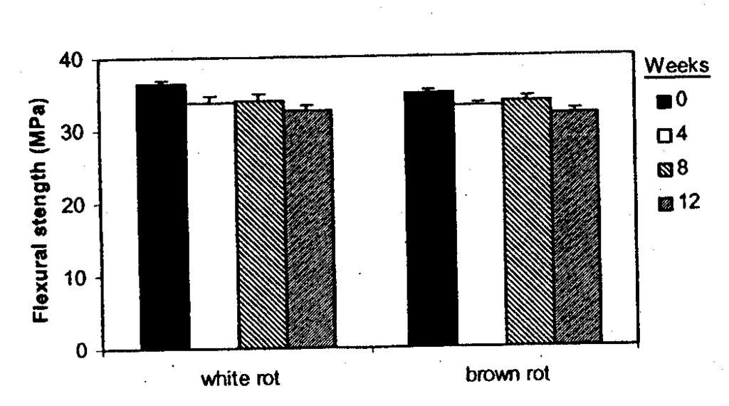 Figure 3 Weight loss of wood-plastic composites exposed to brown- and white-rot fungi in soil blocktests.