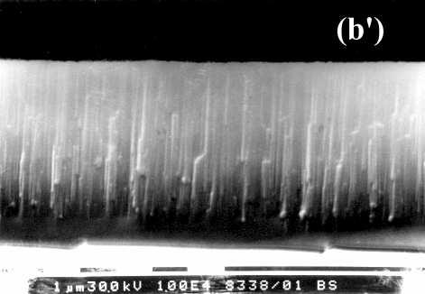 The minimal rotation velocity of the substrates is not sufficient to obtain layers thicker than 1 m at the applied maximum RF power (2400 W), so in this case the experiments are carried out on static