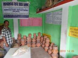 Paschim Sridhar Kati Jonokalyan Shongo (PSKJS) in Hingalgunj block of North 24 Parganas, West Bengal, established in 1988, has been conserving and distributing 300 IPVs among farmers since 2009.