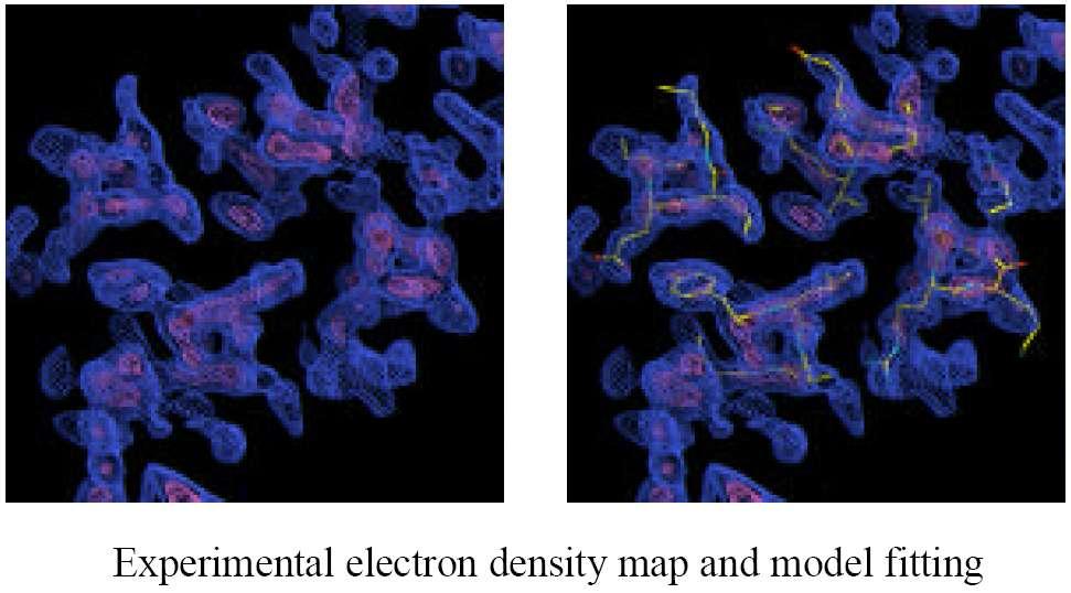 From electron density map to structure