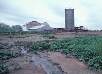 Introduction Runoff caused by rain may wash away manure in barnyards, stables, wintering areas, or open lots. This situation represents one of the most difficult challenges for small farms.