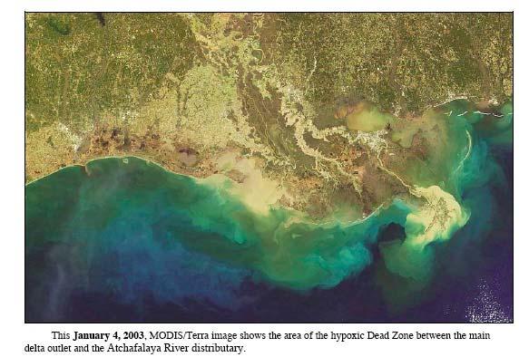 PLANT NUTRIENTS: Nitrates, Phosphates and Ammonia Harmful Algal Blooms (HABs) Gulf of Mexico, Mississippi R. Delta SOURCES: Agriculture and Urban Fertilizers, (lawns and golf courses), Sewage, Manure.