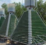 Success Stories Advanced Algae: Automated Photosynthetic Algae Reactor (APAR) Consumes CO2 and NOx Produces three grades of