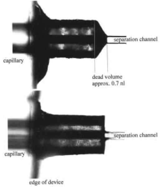 23 Figure 1.5. Fused silica capillary connections to a microfluidic channel. The procedure of making these connections is detailed in ref. 93.