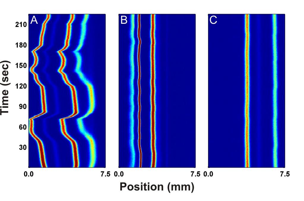 47 form in the system this behavior is random making prediction of stream position extremely difficult. Figure 2.1. Contour plots illustrating analyte peak position over 4 minutes (i.e. 800 consecutive linescans) in the separation chamber of the μffe device with a carrier buffer containing 25 mm HEPES at ph 7.