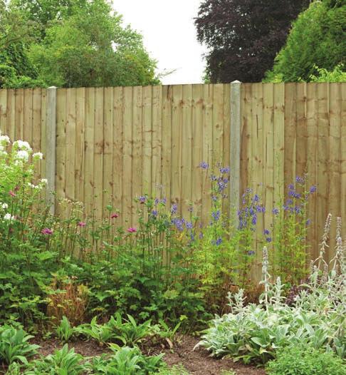 Fencing Featheredge Panel 2 ex 22 x 125mm featheredge boards 2 x 30 x 50mm horizontal battens on reverse Fully framed