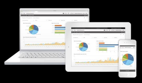 Self-service creation With Qlik Sense, people no longer have to wait for new reports or updates to visualizations.