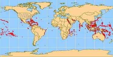 Where they are found: Along coasts of the Pacific, Indian, and Atlantic Oceans, covering 600,000 km 2, usually between 25º north and