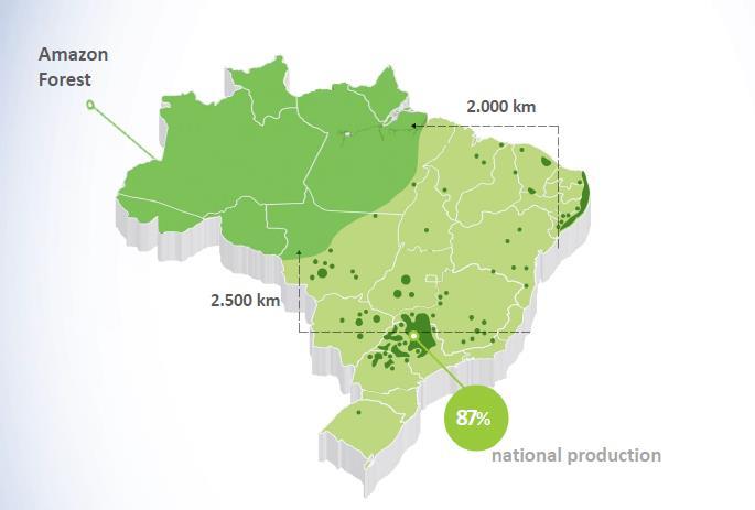 Sugar cane plantations in Brazil are not converting rainforest to agricultural use Sugar cane can grow on land not