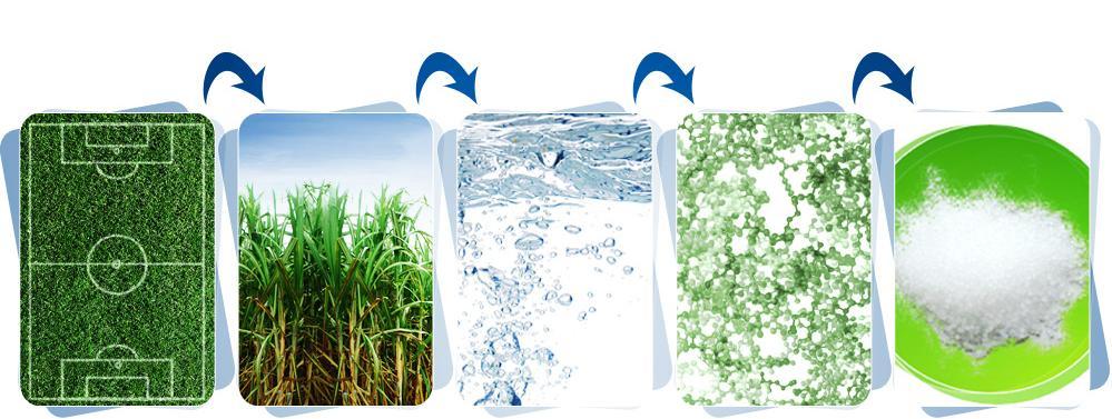 Land use: from sugarcane to I m green Polyethylene produces produce produce produce 1 Hectare of land (1)